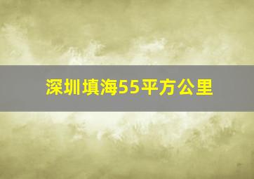 深圳填海55平方公里