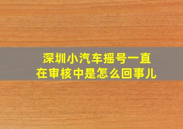 深圳小汽车摇号一直在审核中是怎么回事儿