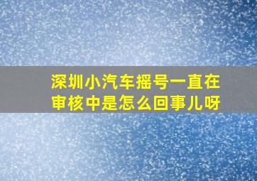 深圳小汽车摇号一直在审核中是怎么回事儿呀