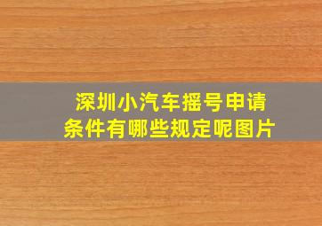 深圳小汽车摇号申请条件有哪些规定呢图片