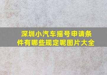 深圳小汽车摇号申请条件有哪些规定呢图片大全