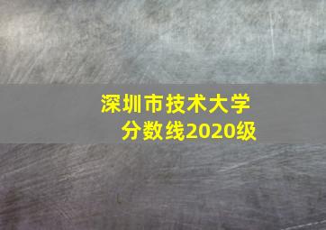 深圳市技术大学分数线2020级