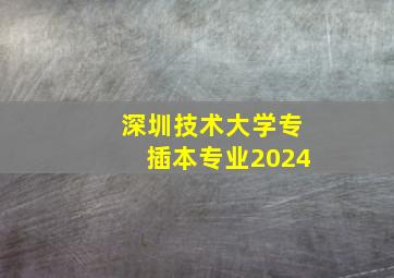 深圳技术大学专插本专业2024