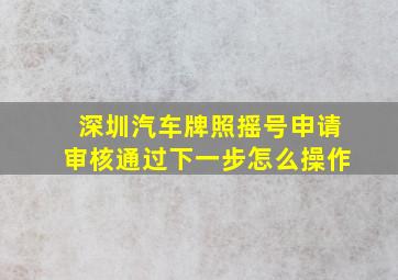 深圳汽车牌照摇号申请审核通过下一步怎么操作