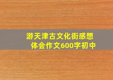 游天津古文化街感想体会作文600字初中