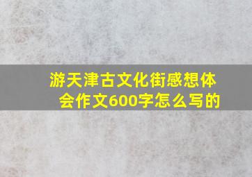 游天津古文化街感想体会作文600字怎么写的