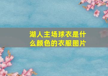 湖人主场球衣是什么颜色的衣服图片