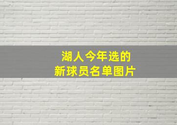 湖人今年选的新球员名单图片