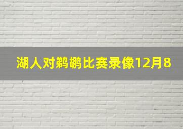 湖人对鹈鹕比赛录像12月8