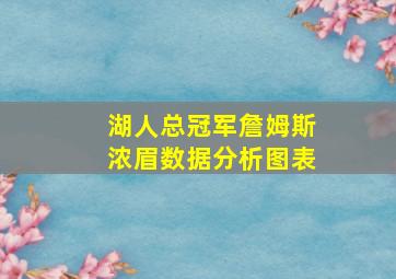 湖人总冠军詹姆斯浓眉数据分析图表