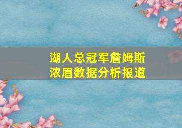 湖人总冠军詹姆斯浓眉数据分析报道