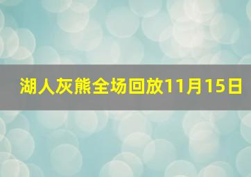 湖人灰熊全场回放11月15日