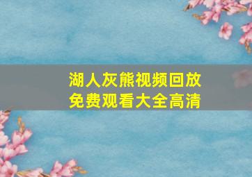 湖人灰熊视频回放免费观看大全高清