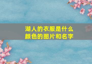 湖人的衣服是什么颜色的图片和名字