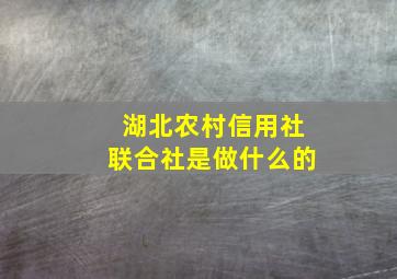 湖北农村信用社联合社是做什么的