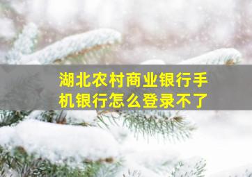 湖北农村商业银行手机银行怎么登录不了