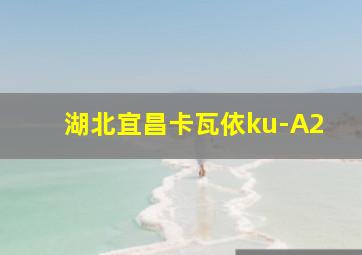 湖北宜昌卡瓦依ku-A2