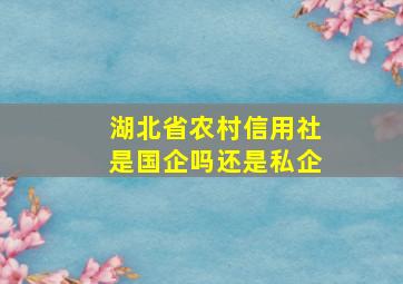 湖北省农村信用社是国企吗还是私企