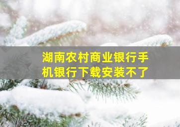 湖南农村商业银行手机银行下载安装不了