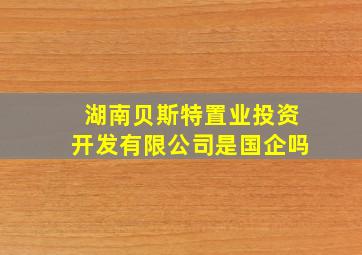 湖南贝斯特置业投资开发有限公司是国企吗