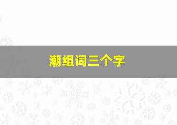 潮组词三个字