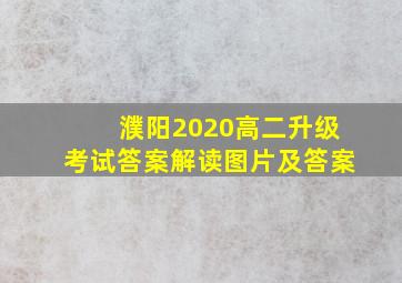 濮阳2020高二升级考试答案解读图片及答案