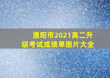 濮阳市2021高二升级考试成绩单图片大全