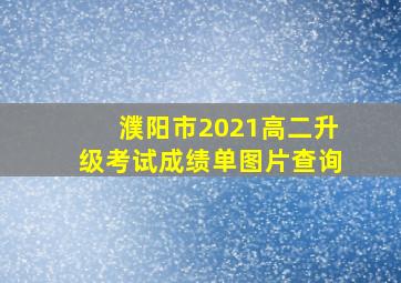 濮阳市2021高二升级考试成绩单图片查询