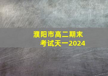 濮阳市高二期末考试天一2024