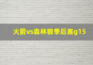 火箭vs森林狼季后赛g15