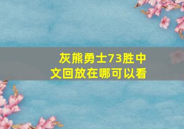 灰熊勇士73胜中文回放在哪可以看