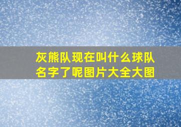 灰熊队现在叫什么球队名字了呢图片大全大图