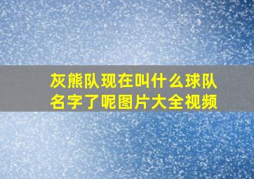 灰熊队现在叫什么球队名字了呢图片大全视频