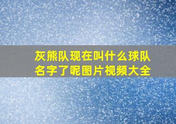 灰熊队现在叫什么球队名字了呢图片视频大全