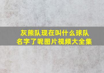 灰熊队现在叫什么球队名字了呢图片视频大全集