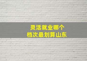 灵活就业哪个档次最划算山东