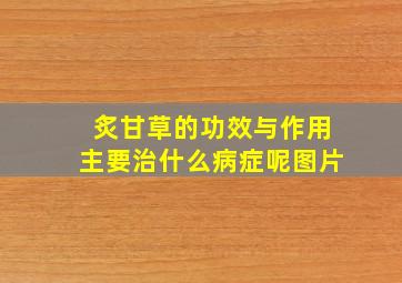 炙甘草的功效与作用主要治什么病症呢图片