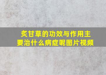 炙甘草的功效与作用主要治什么病症呢图片视频