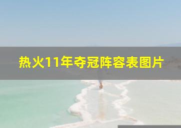 热火11年夺冠阵容表图片