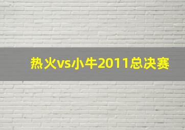 热火vs小牛2011总决赛