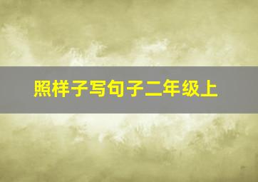 照样子写句子二年级上