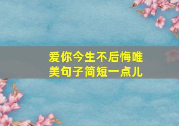 爱你今生不后悔唯美句子简短一点儿