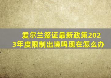 爱尔兰签证最新政策2023年度限制出境吗现在怎么办