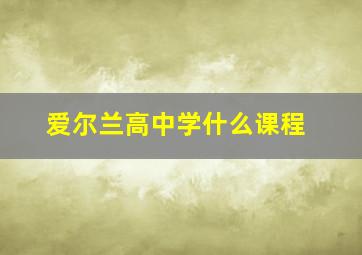 爱尔兰高中学什么课程