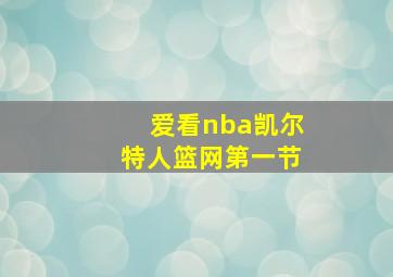 爱看nba凯尔特人篮网第一节