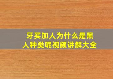 牙买加人为什么是黑人种类呢视频讲解大全