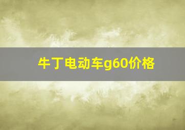 牛丁电动车g60价格