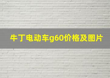 牛丁电动车g60价格及图片