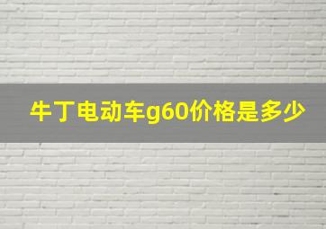 牛丁电动车g60价格是多少