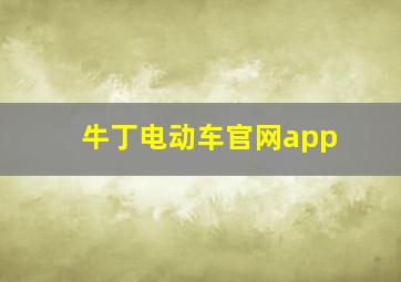 牛丁电动车官网app